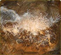 Ochtinská aragonitová jaskyňa obrázok