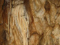 Bystrianska jaskyňa 1465