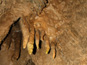 Bystrianska jaskyňa 1485