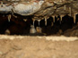Bystrianska jaskyňa 1500