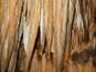 Demänovská jaskyňa Slobody 364