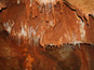 Gombasecká jaskyňa 772