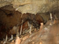 Gombasecká jaskyňa 802