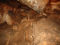 Gombasecká jaskyňa 765