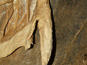 Harmanecká jaskyňa 1527