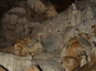 Harmanecká jaskyňa 1508