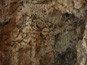 Harmanecká jaskyňa 1510