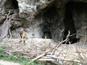J-Prepoštska jaskyna 2426