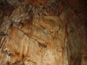 Jaskyňa Domica 833