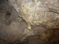 Jaskyňa Domica 813