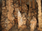 Jaskyňa Domica 859