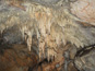 Jaskyňa Domica 818