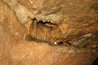 Jaskyňa Driny 659