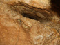 Jaskyňa Driny 661