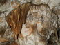 Jasovská jaskyňa 881