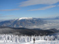 L-winterpark_martinky 1687
