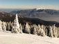 L-winterpark_martinky 1688