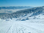 L-winterpark_martinky 1689