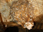 Ochtinská aragonitová jaskyňa 989