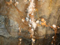 Ochtinská aragonitová jaskyňa 1000