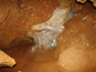 Ochtinská aragonitová jaskyňa 964