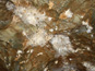 Ochtinská aragonitová jaskyňa 1002