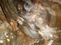 Ochtinská aragonitová jaskyňa 1008